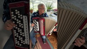 Barcarole Professional, 5 Row accordion, 120 Bass, 4 voices, Professional Accordion, 11+3 Registers