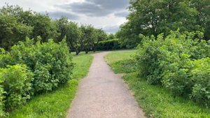 Аптекарский огород Коломенское/Парк в Москве 2021/Рассказываю про ТЦ Коломенский