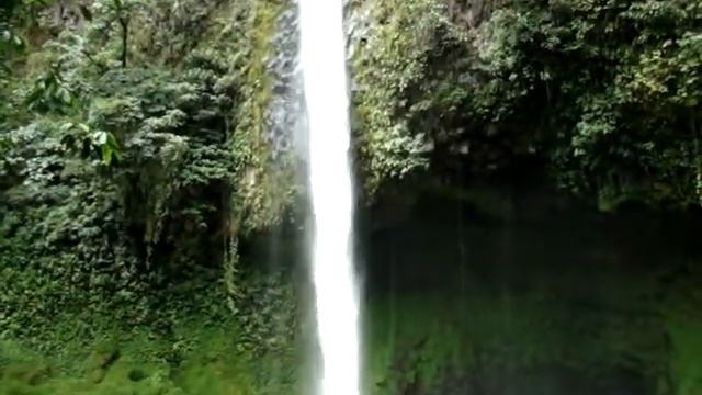 Живописный водопад острова Кокос смотреть онлайн