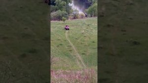 Покатушки квадроцикл рысь 500