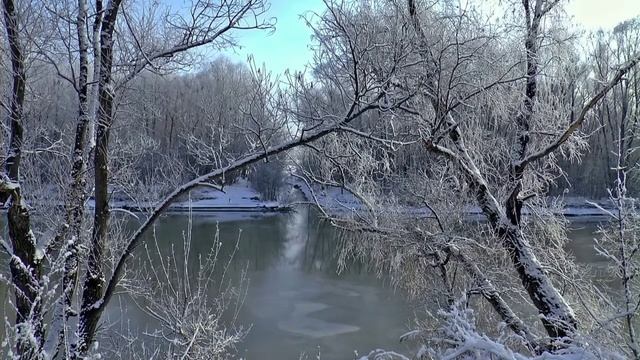 Добрый День! Доброго Дня и Отличного Настроения! Красивая музыкальная открытка.