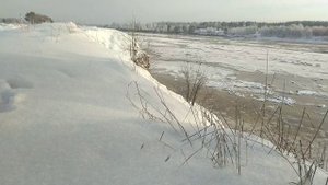Почему Любовь Киев не общается с женой Камала?