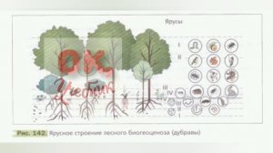 Краткий пересказ §31 Совместная жизнь организмов в природном сообществе. Биология 6 класс Пономарев