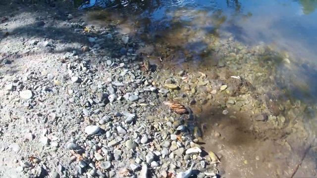 В селе Кряжим на реке Терешка, 30 мая 2019 г смотреть онлайн