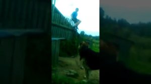 ШОК моего друга укусила  собака