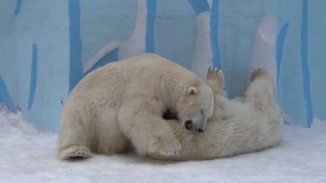 Кай и Герда. Свидание на даче 1. 25.03.2022 смотреть онлайн