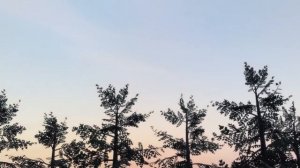 Едмонтозавр - огромный травоядный динозавр с «утиным клювом» . #динозавры #Edmontosaurus #dinosaur