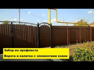 Забор из профлиста. Ворота и калитка с элементами ковки.