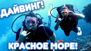 НЕ ПОВТОРЯЙТЕ НАШИХ ОШИБОК! ДАЙВИНГ В КРАСНОМ МОРЕ! ЕГИПЕТ ЗИМОЙ!