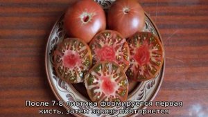 Томат Микадо