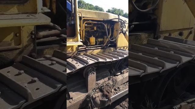 Чтз лучше чем чптз смотреть онлайн