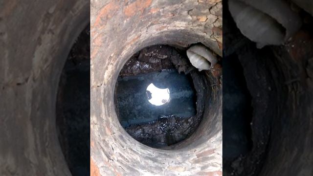 Посмотрите кого вы там видите? смотреть онлайн