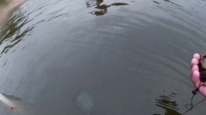 #341 Серебро из-под воды. Поиск в воде с Nokta Makro Legend