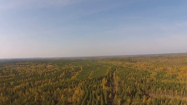 Леса ПарКоммуны смотреть онлайн