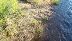 Река Сепыч под ИКАДОМ.