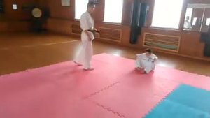 приемы каратэ для начинюющих