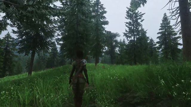 [4K] Skyrim SE 2023 Ultra modded with Aequinoctium ENB смотреть онлайн