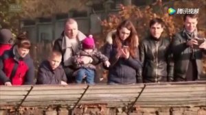 Тигр напал на одну из сотрудниц зоопарка в Калининграде.