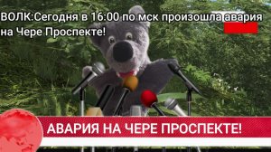 Чередедушка погиб в аварии....