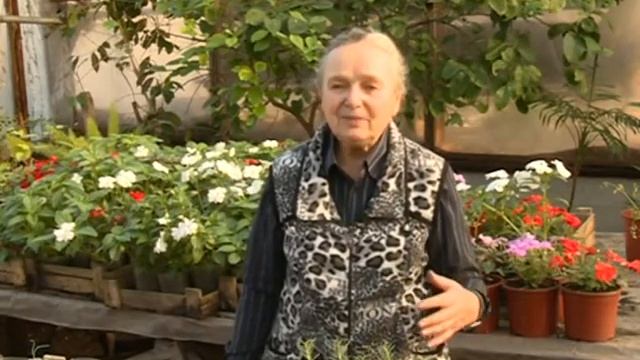 Садовник рекомендует№103 25 11 15 15 00 смотреть онлайн