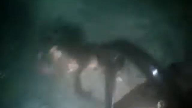 Мое день рождение в сауне смотреть онлайн