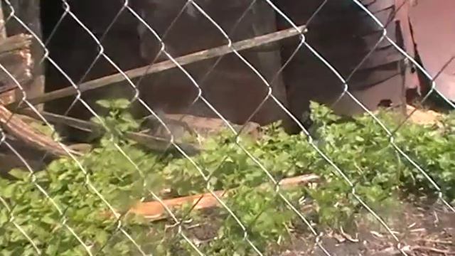 подсадка матки часть 3 смотреть онлайн