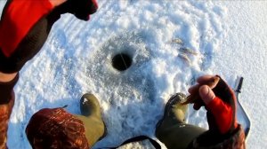 Зимняя рыбалка на Суре