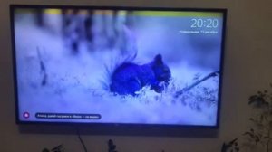 Телевизор LG 49UJ634V-ZD начал мерцать