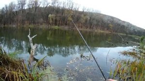 Ловля окуня в коряжнике! Рыбалка на Северском ДОНЦЕ. Ловля на ультралайт