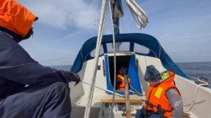 На яхте по Ладоге. Видеодневник экспедиции. День 16. Часть 1