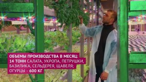 Ролик о компании Макатров. ТОР Чукотка. 2019