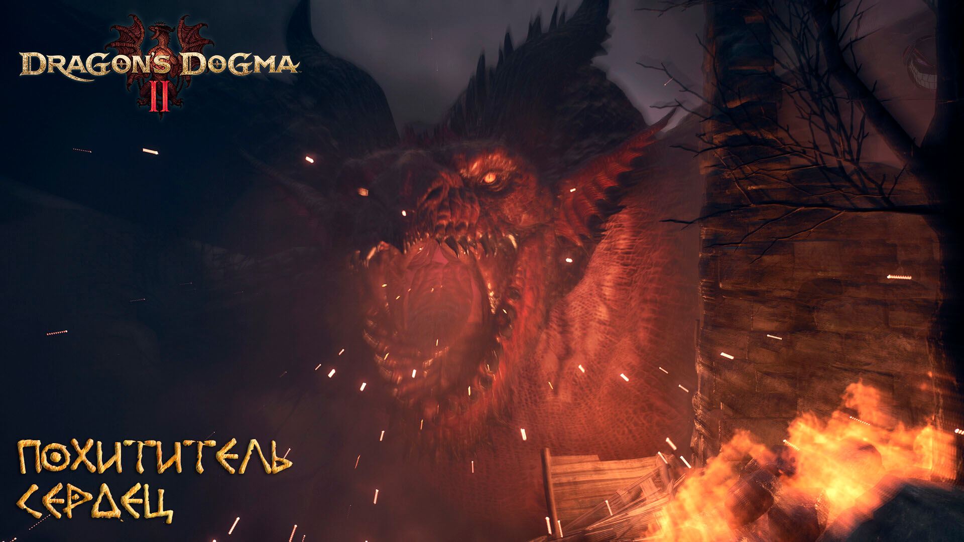Dragon's Dogma 2: #3 Воспоминание о Драконе