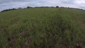 Новосибирск- озеро Курдо Молчаново
