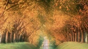 Осень.Бабье лето.