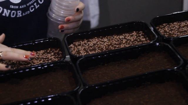 Как выращивать микрозелень. Технология выращивания. смотреть онлайн