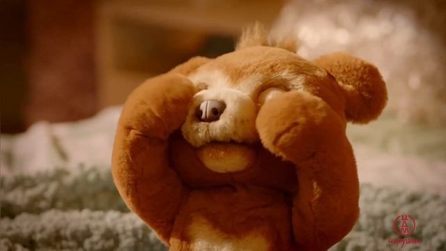 ЦДМ Игрушки - Русский Мишка FurReal Friends