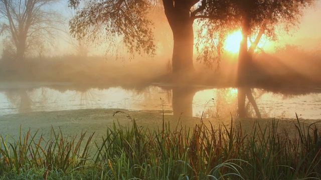 Ennio Morricone The Lonely Shepherd смотреть онлайн