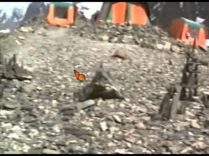 Владимир Мирза - Горный вальс