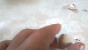 Посадка бойла на крючок стопорки для бойла из паралона  и пенопласта самодельные стопорки.