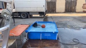 Дан Запашный в бассейне со своими обезьянами ?// Dan Zapashny in the  swimming pool with his monkey