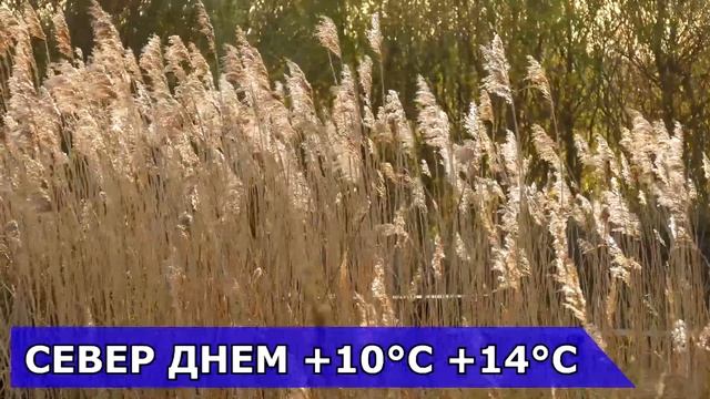 ПОГОДА НА 10 ОКТЯБРЯ : ПОГОДА НА СЕГОДНЯ