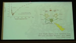 А.Ю.Семёнов «Молекулярные механизмы первичных процессов фотосинтеза»