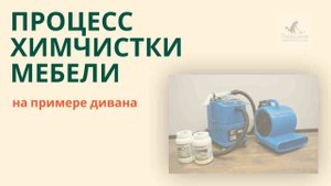 Как делается химчистка дивана. На примере работы клининговой компании Белые лапки (г. Орел)
