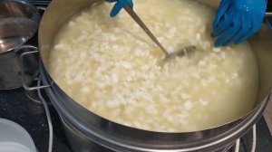 сыр ГАУДА. подробный рецепт