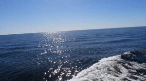 The Horizon at Sea: Nikon P1000