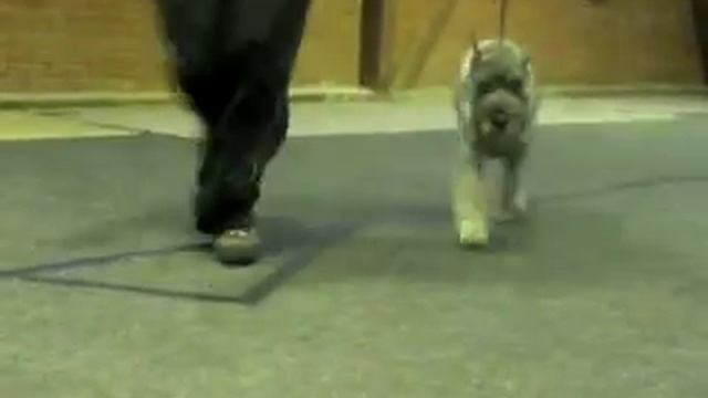 самбо 6 м смотреть онлайн