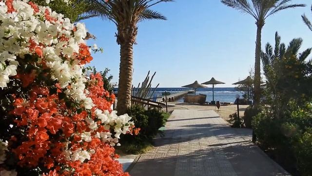 Quick Overview - Flamenco Beach Resort - El Quseir/Ägypten смотреть онлайн