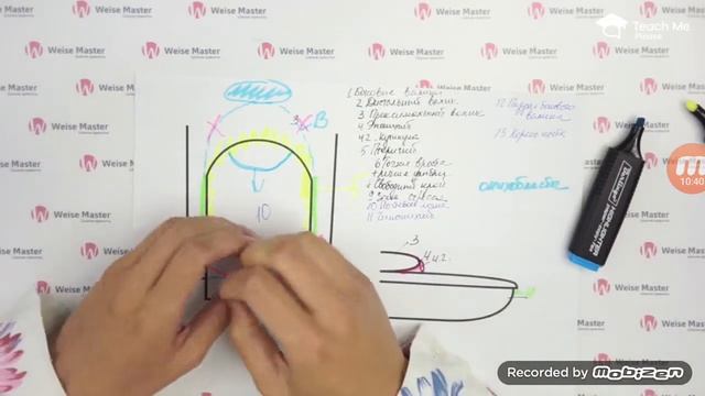 Анатомия и физиология ногтя. КОМБИ МАНИКЮР для начинающих.