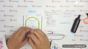 Анатомия и физиология ногтя. КОМБИ МАНИКЮР для начинающих.