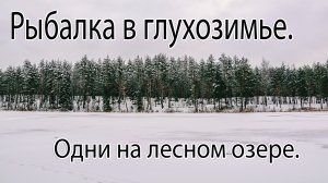 Рыбалка в глухозимье | Одни с батей на лесном озере | Жерлицы, лес, чага |